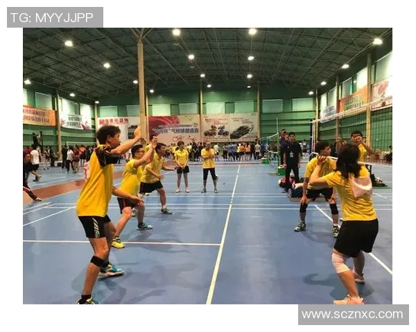 广州排球队引领最新排球意识TOP10榜单全景解析 广州排球队引领最新排球意识TOP10榜单全景解析